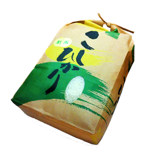 令和7年郡上明宝産! こしひかり 5kg | イワタ